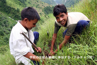 木を植える