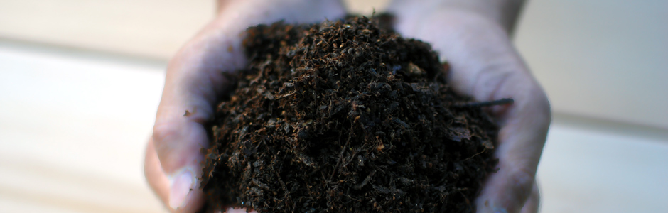 オーロラの培養土、腐葉土、堆肥について